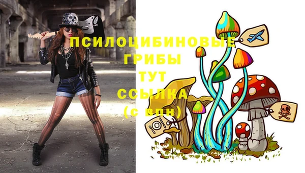 стафф Алексеевка
