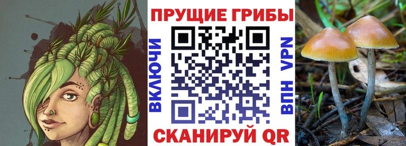 Псилоцибиновые грибы прущие грибы закладки Тамбов