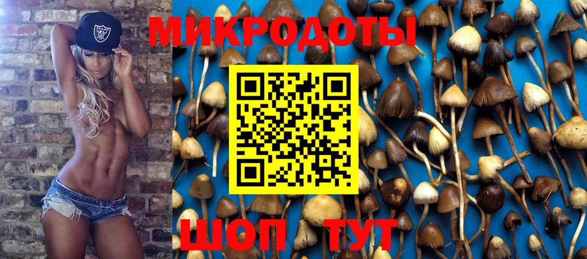 Галлюциногенные грибы Cubensis  Вход с VPN  Тамбов 